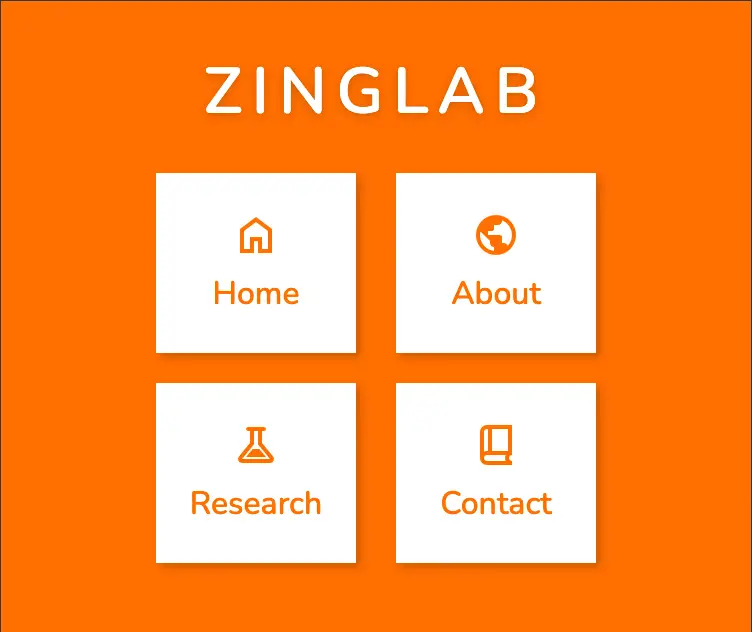 Zing Lab ZingLab Projects